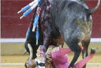 Chifre de touro atravessa rosto e sai pelo olho de toureiro; imagem é forte